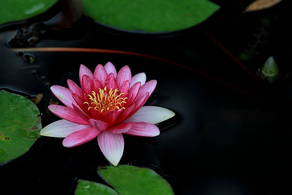 IMG_3028_副本.jpg
