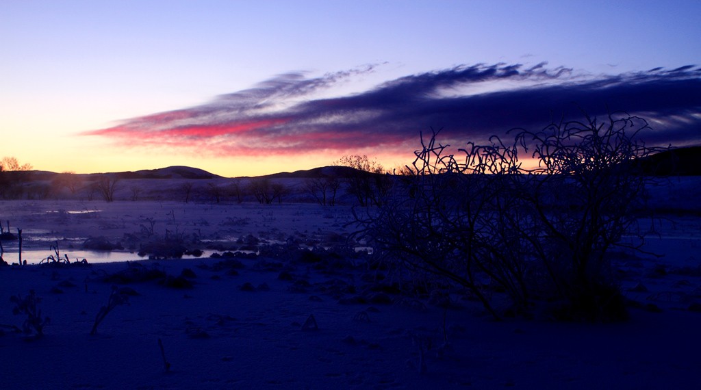 _MG_6346.JPG