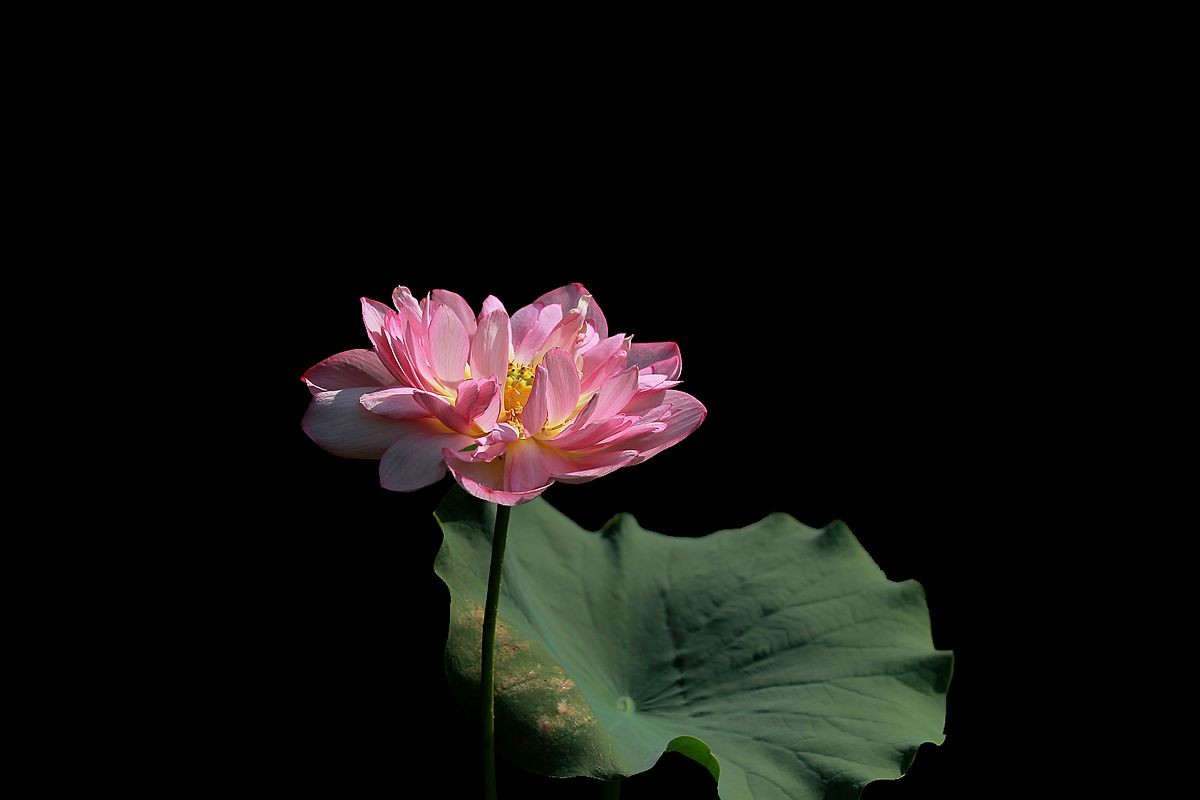 IMG_4941_副本.jpg