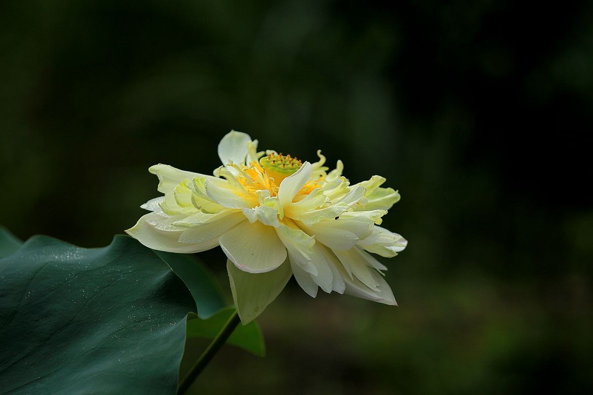 IMG_5519_副本.jpg