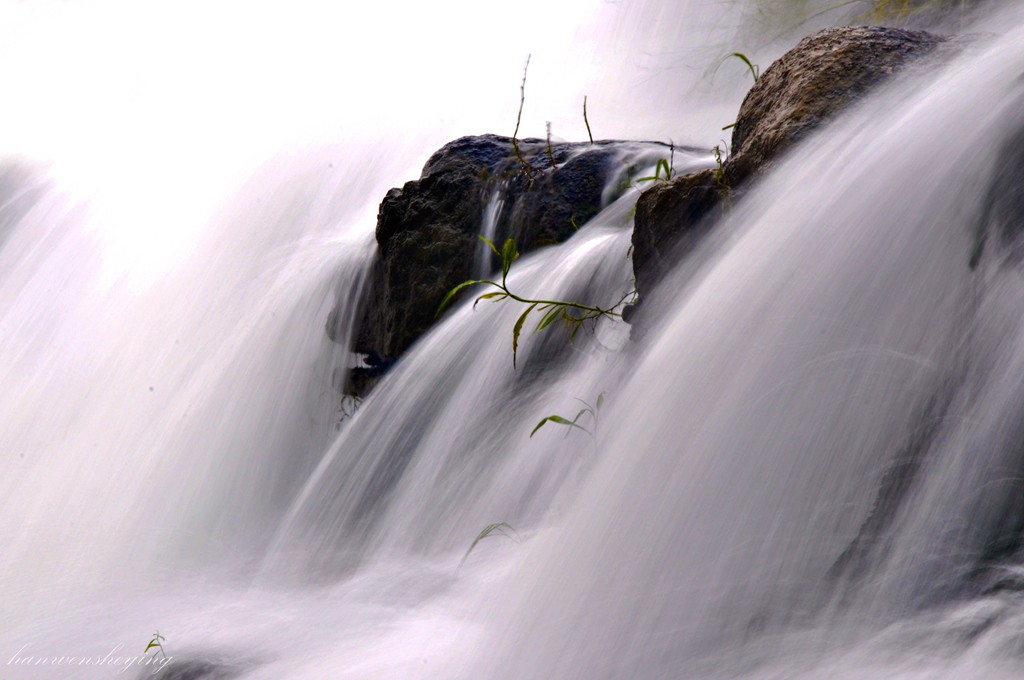 DSC_0203.JPG