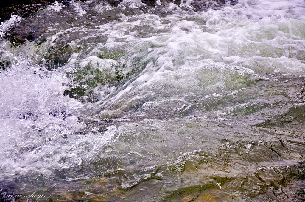 DSC_0243.JPG