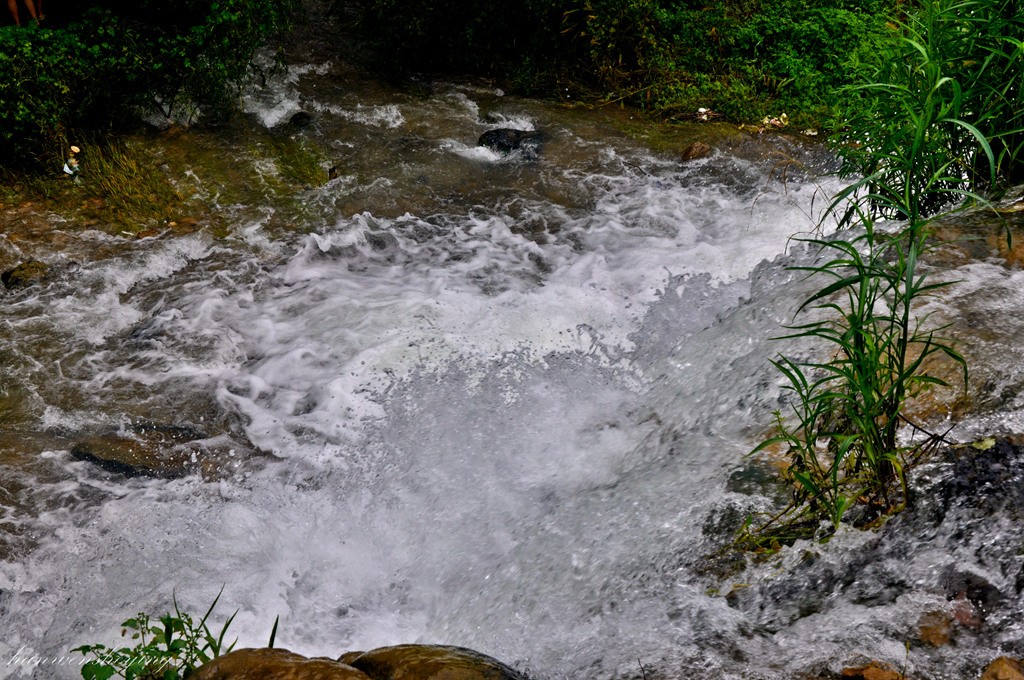 DSC_0238.JPG