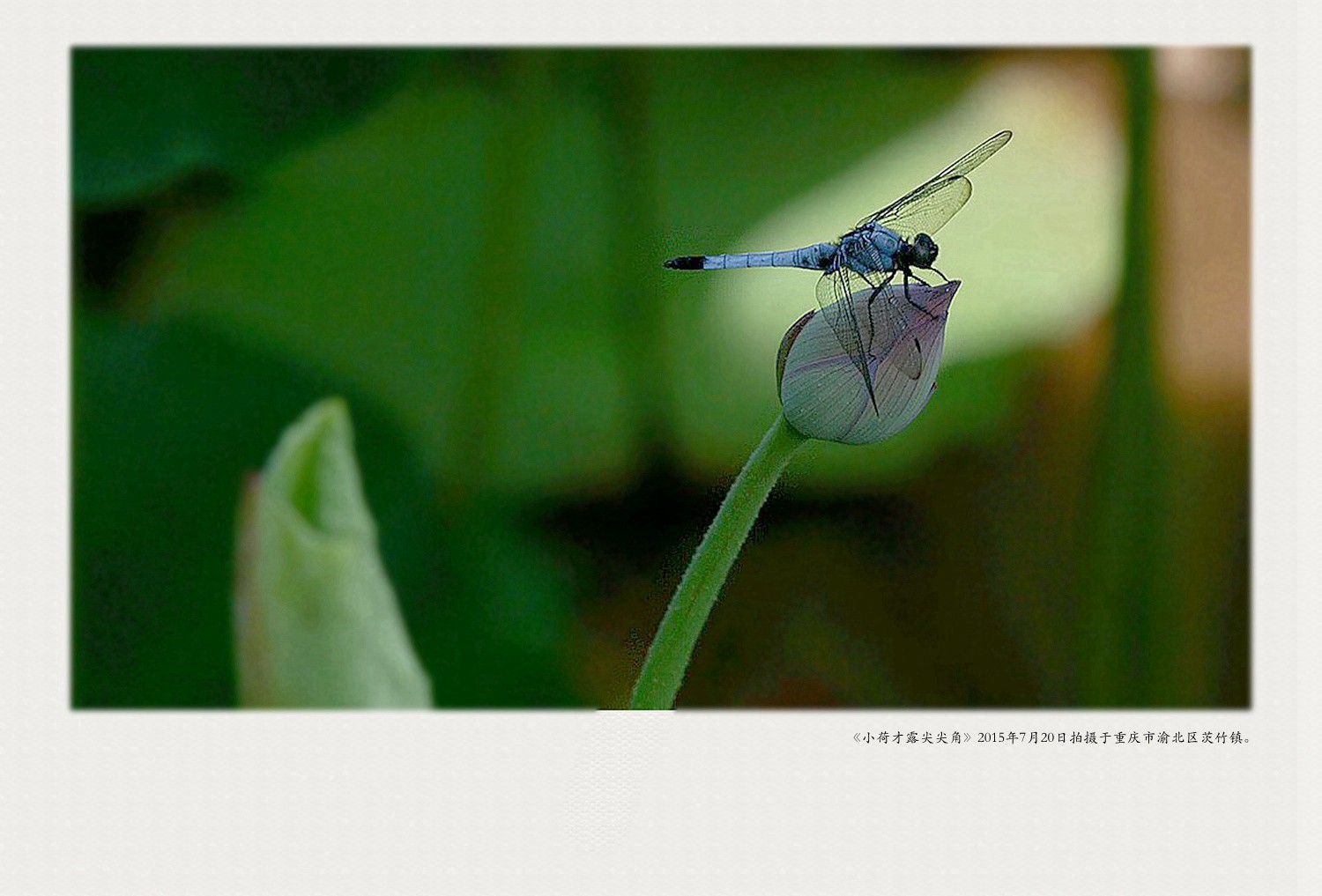 P7204937_副本_副本_副本1.jpg
