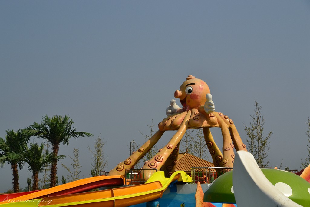 DSC_1043.JPG