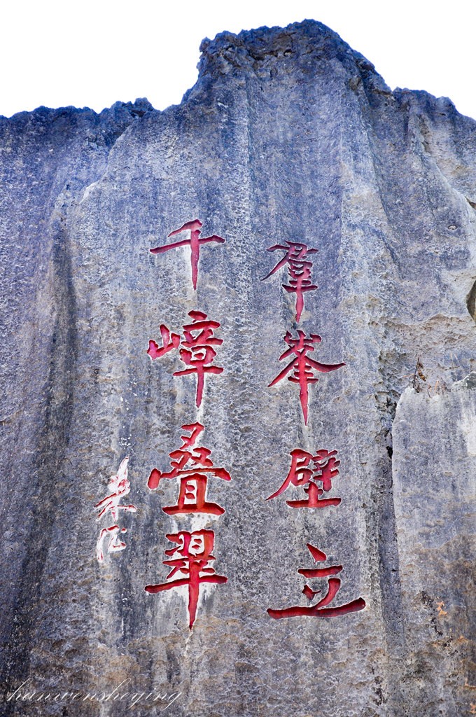 DSC_0630.JPG