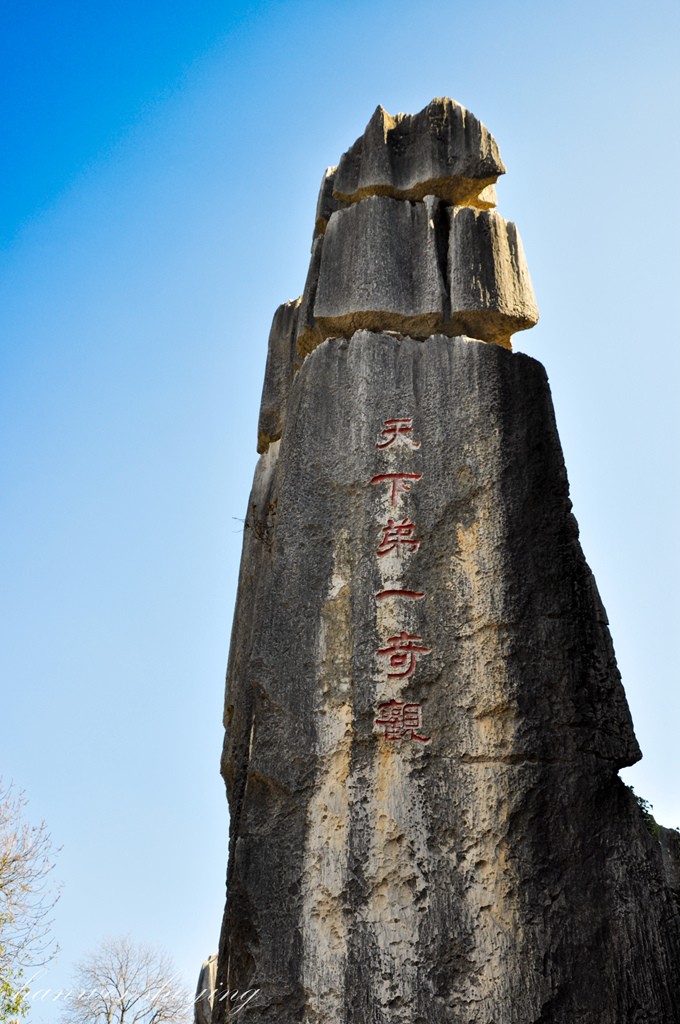 DSC_0689.JPG