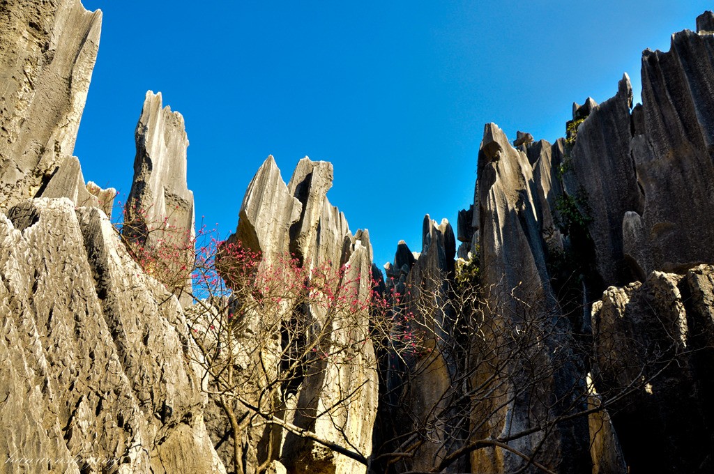 DSC_0695.JPG