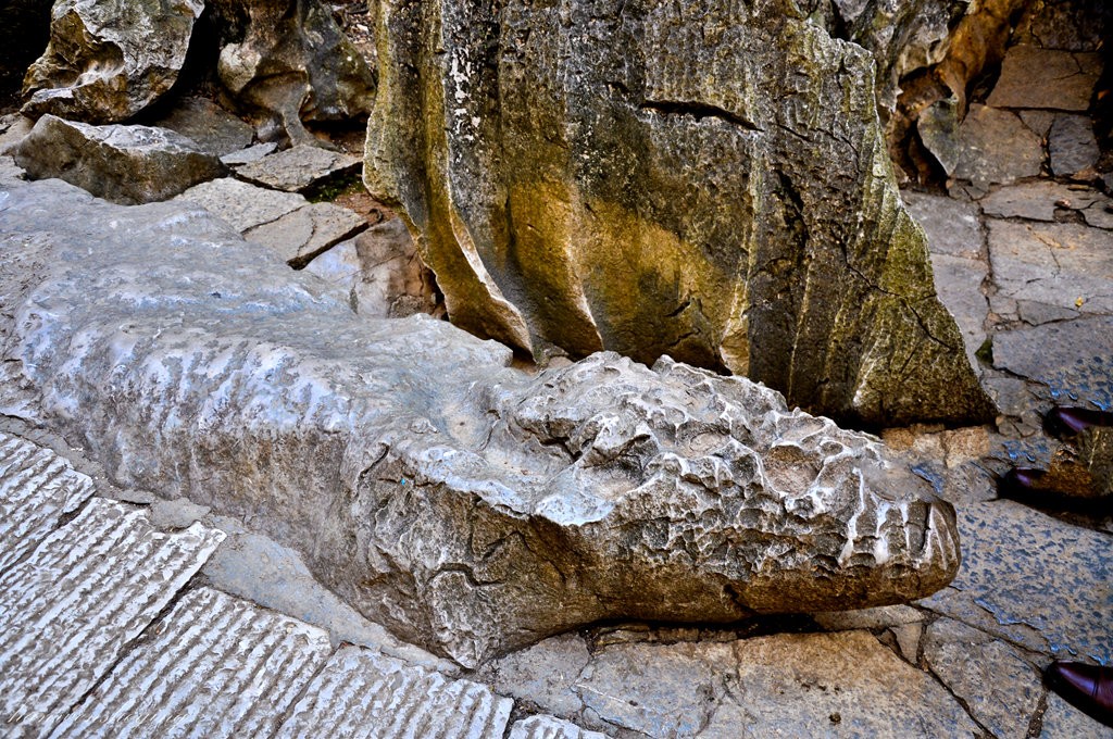 DSC_0710.JPG