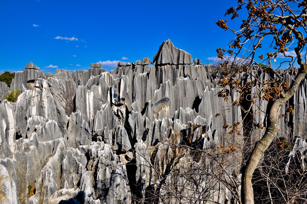 DSC_0733.JPG