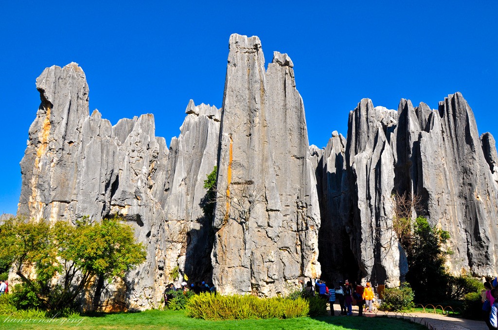 DSC_0764.JPG