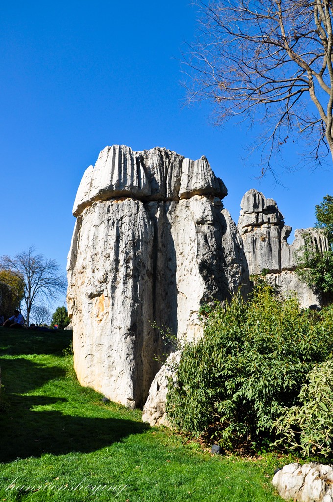 DSC_0776.JPG