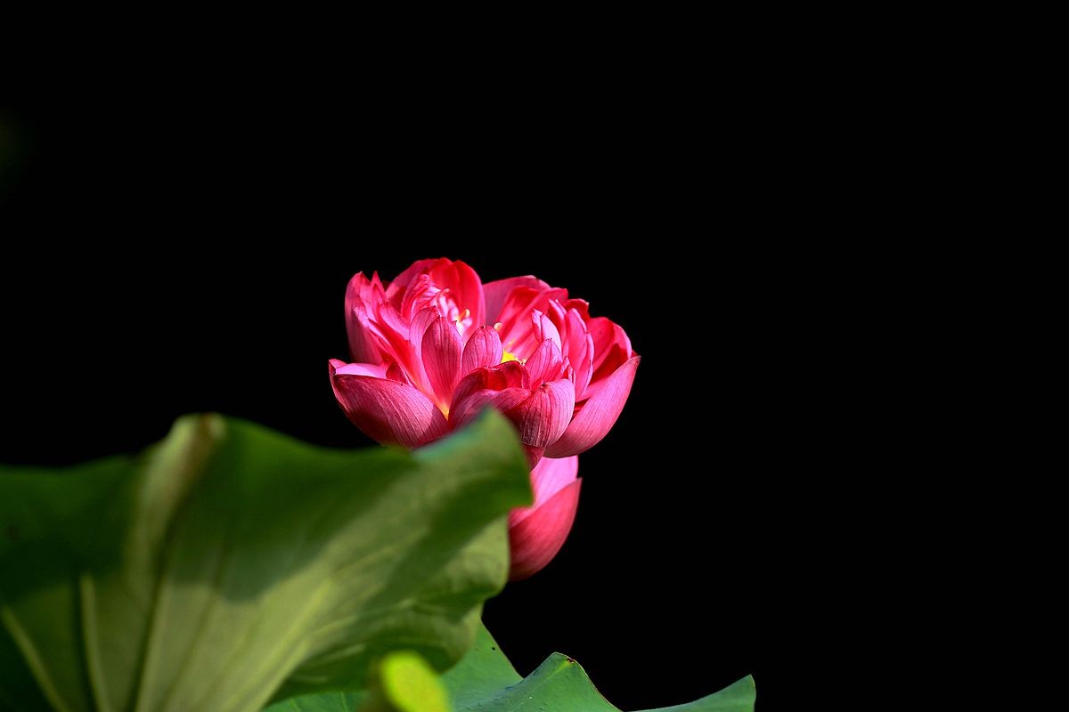 IMG_4801_副本.jpg