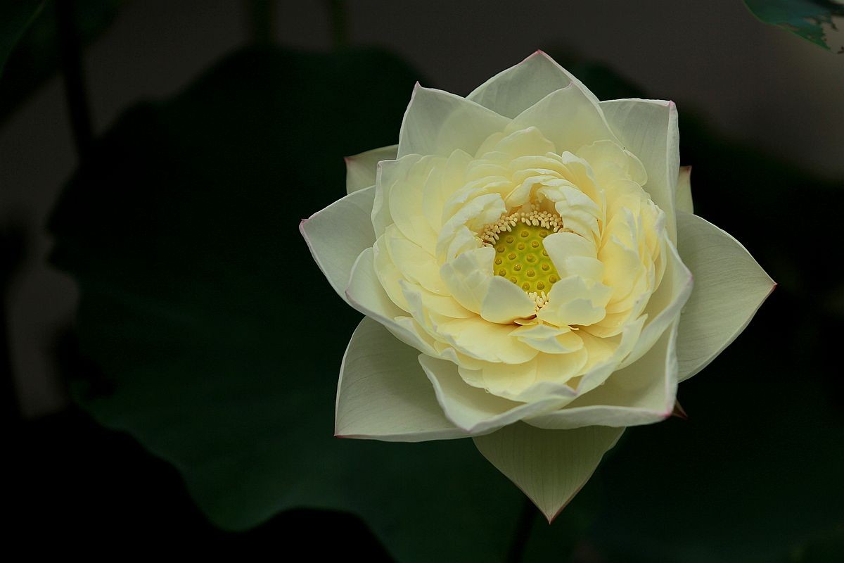 IMG_5050_副本.jpg
