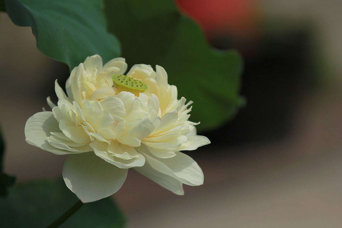IMG_5289_副本.jpg