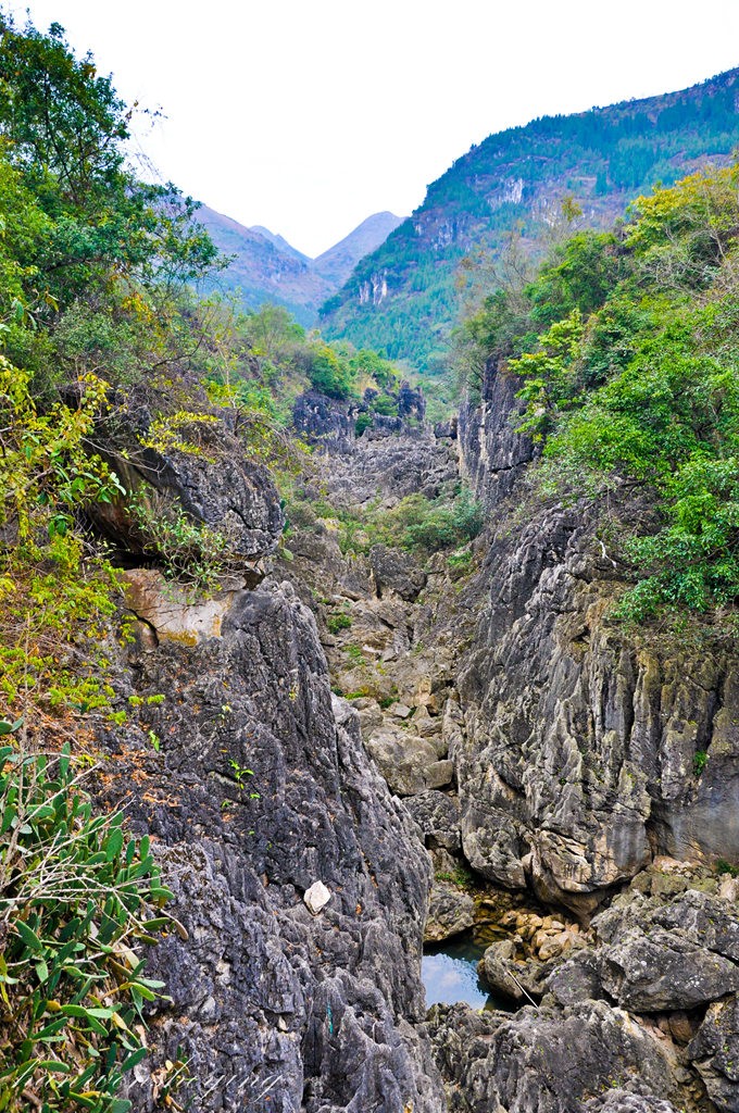 DSC_0478.JPG