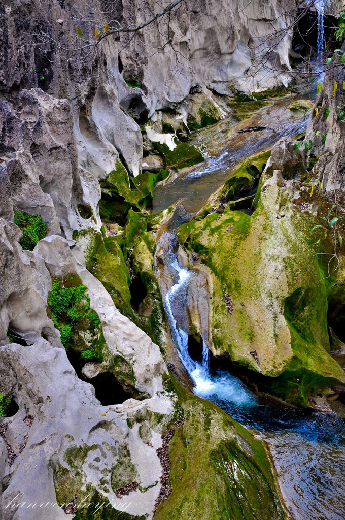 DSC_0538.JPG