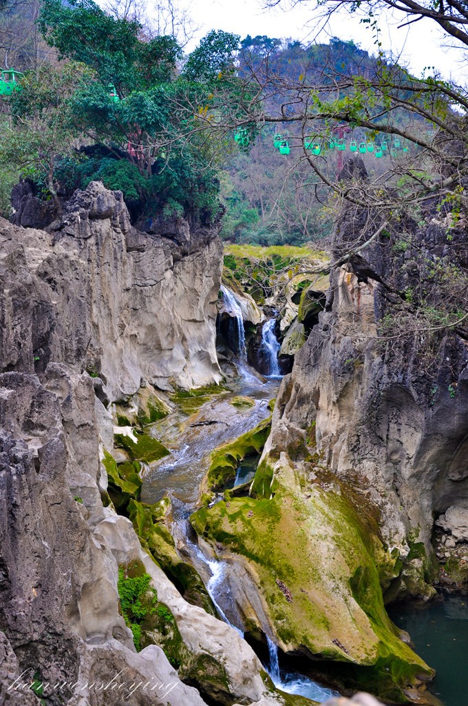 DSC_0539.JPG