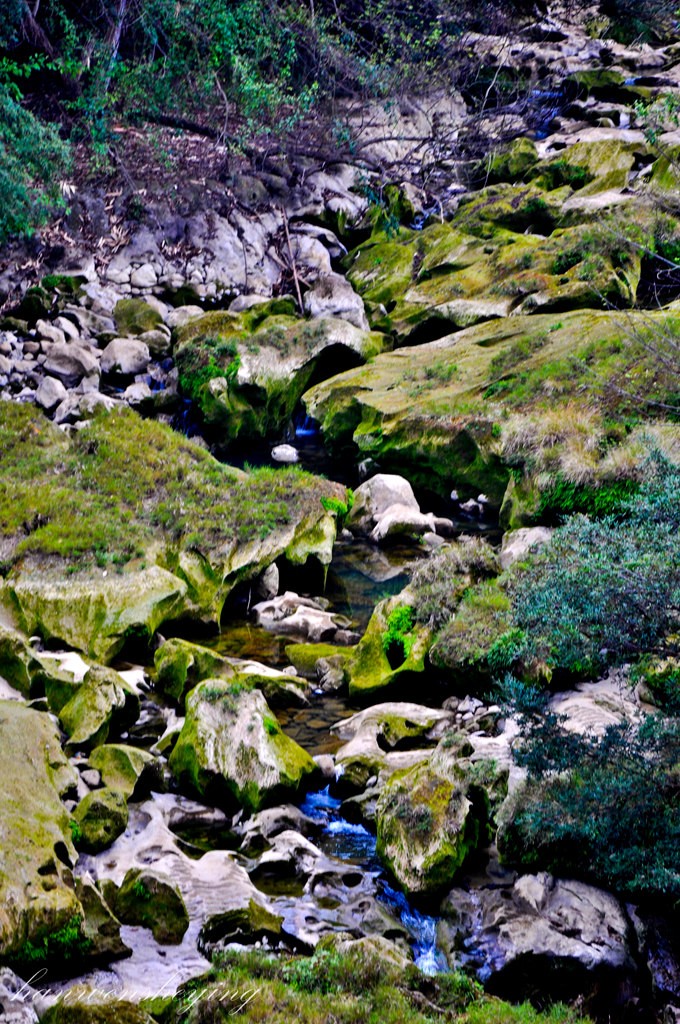 DSC_0550.JPG