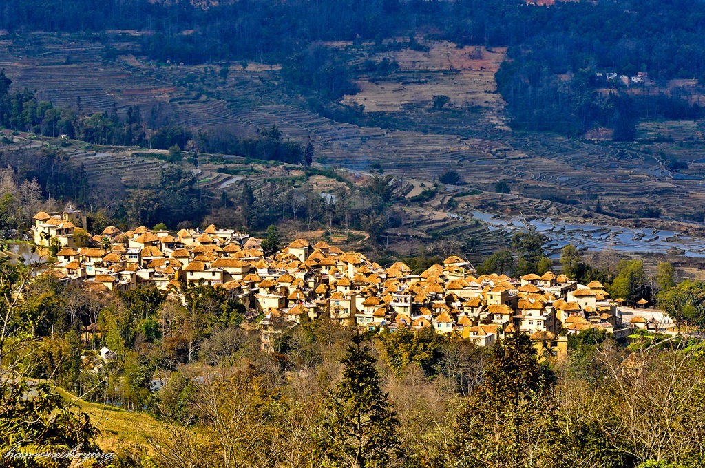 DSC_0864.JPG