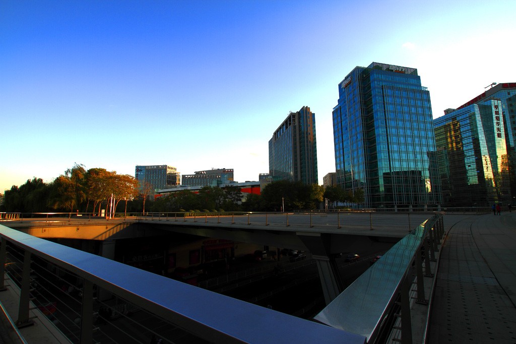 _MG_4772.JPG