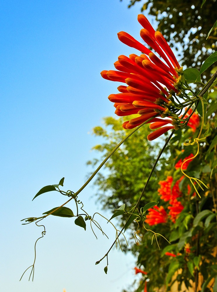 DSC_0748.JPG