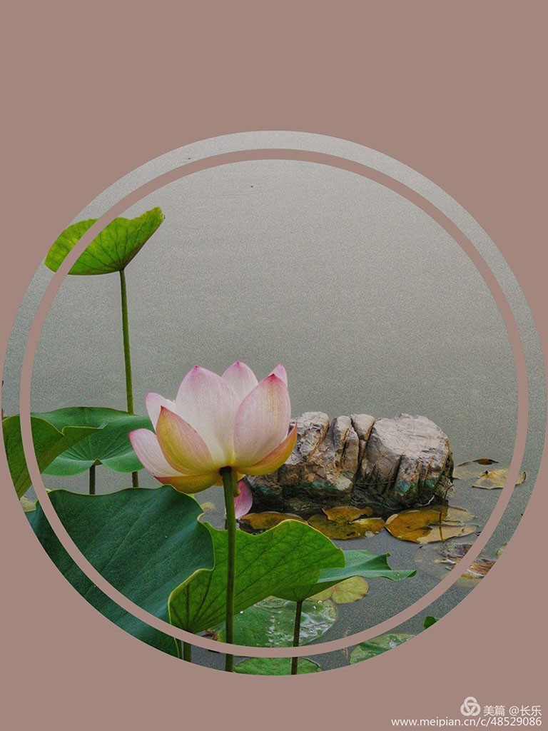 微信图片_20200718202356.jpg