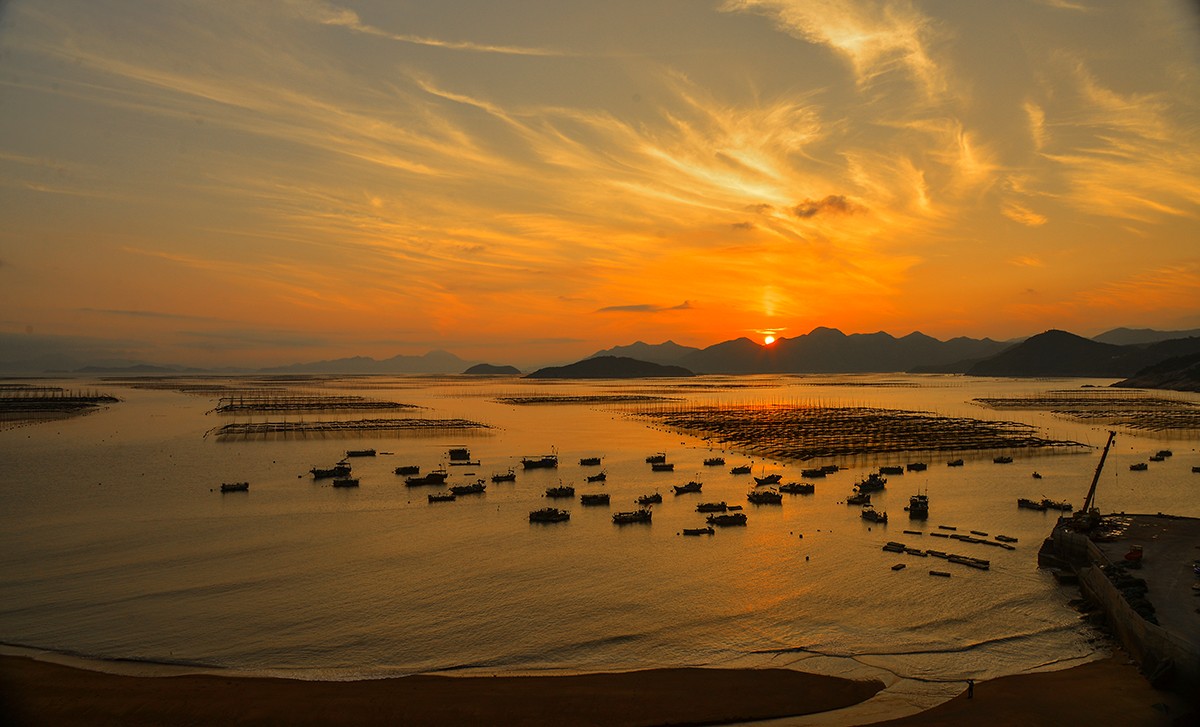 夕阳下的海带养殖场1.jpg