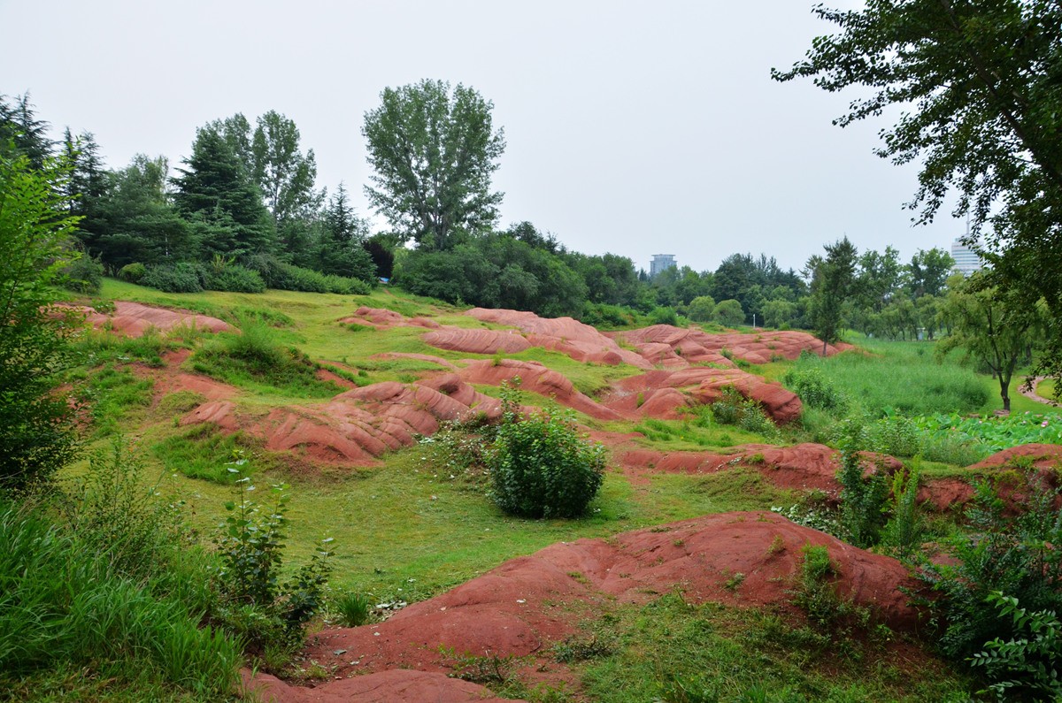 DSC_0193_副本.jpg