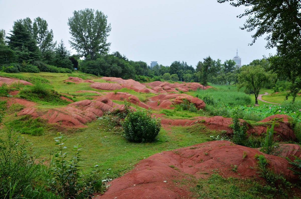 DSC_0196_副本.jpg
