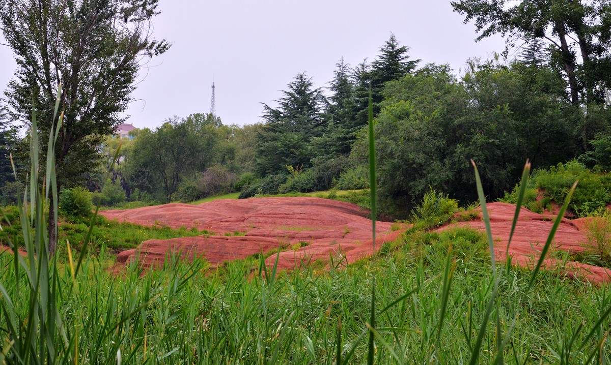 DSC_0206_副本.jpg