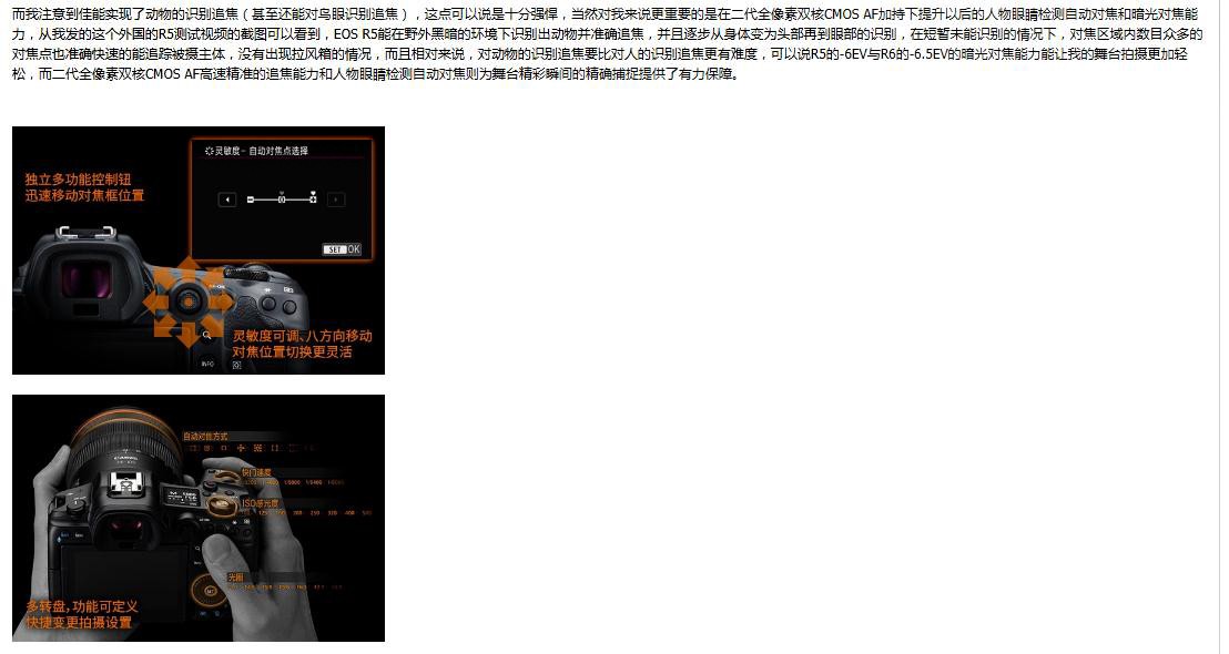 动态追焦鸟眼.jpg