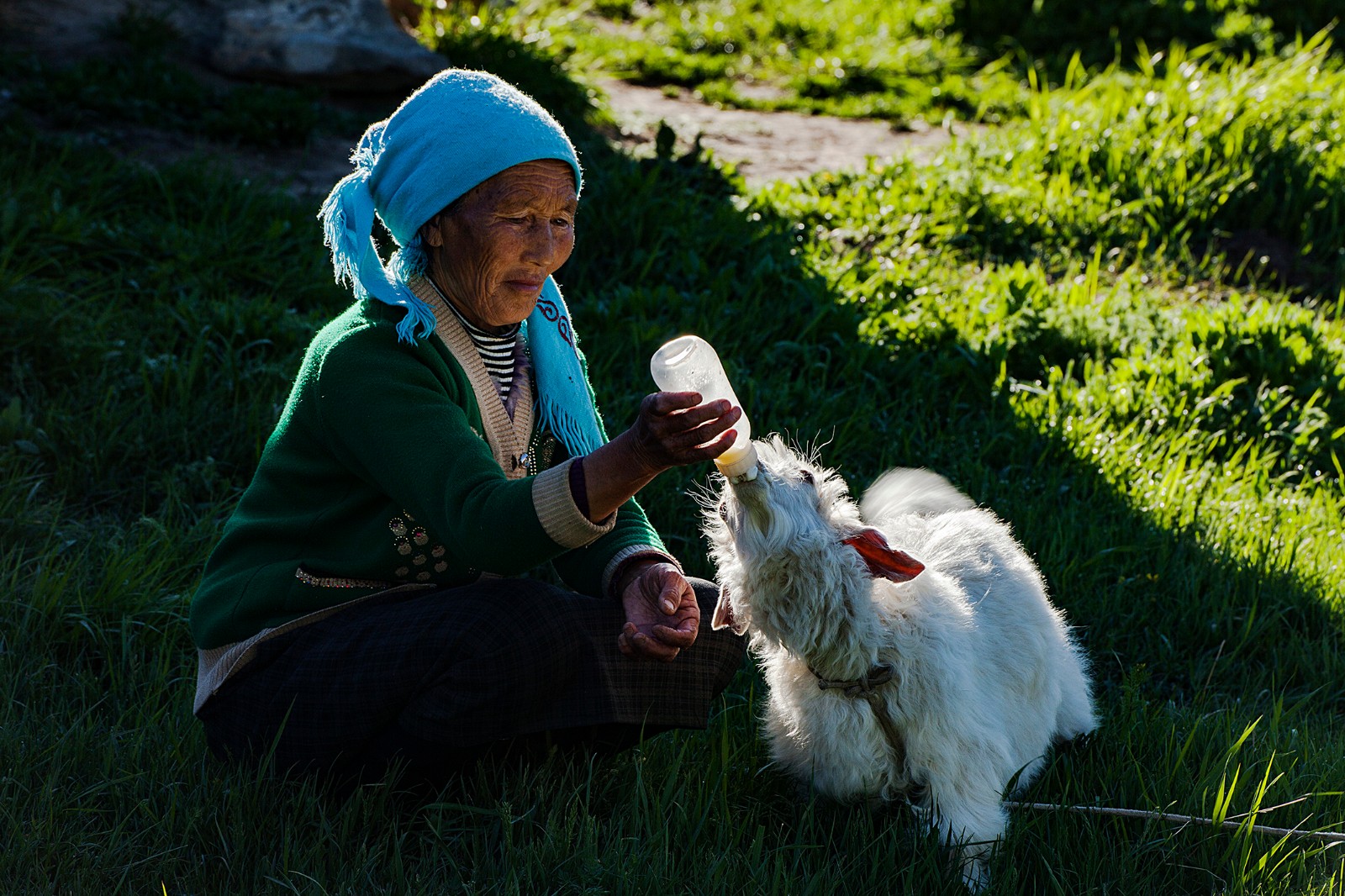 《呵护》摄影：杨光（新疆乌鲁木齐市）；电话：13199880945.jpg
