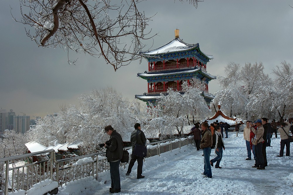 阳春三月雪
