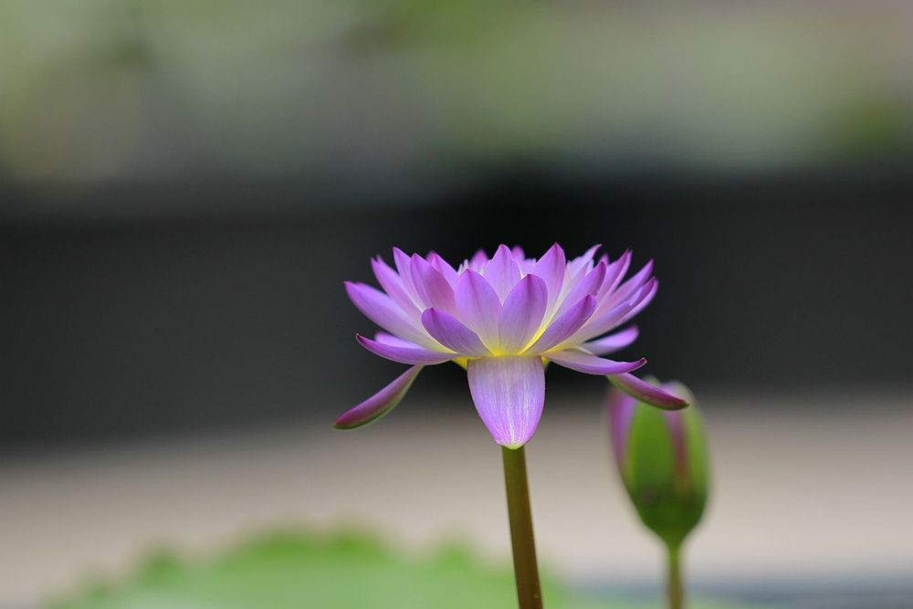 IMG_5987_副本_副本.jpg