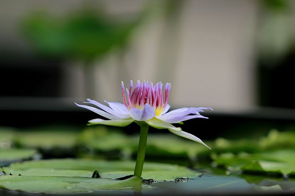 IMG_5992_副本_副本.jpg