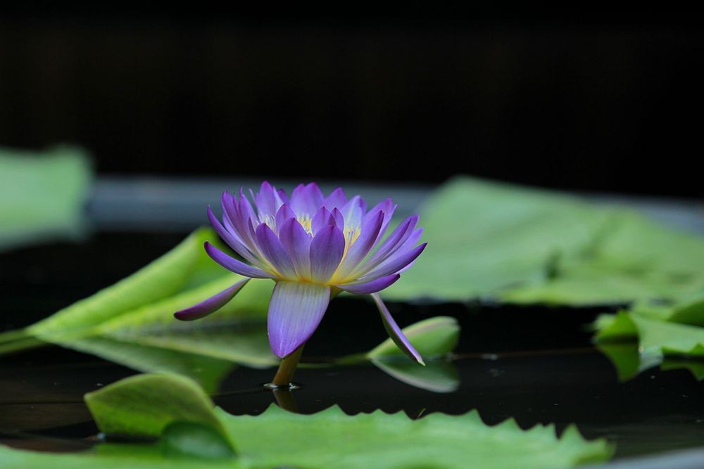 IMG_5996_副本_副本.jpg