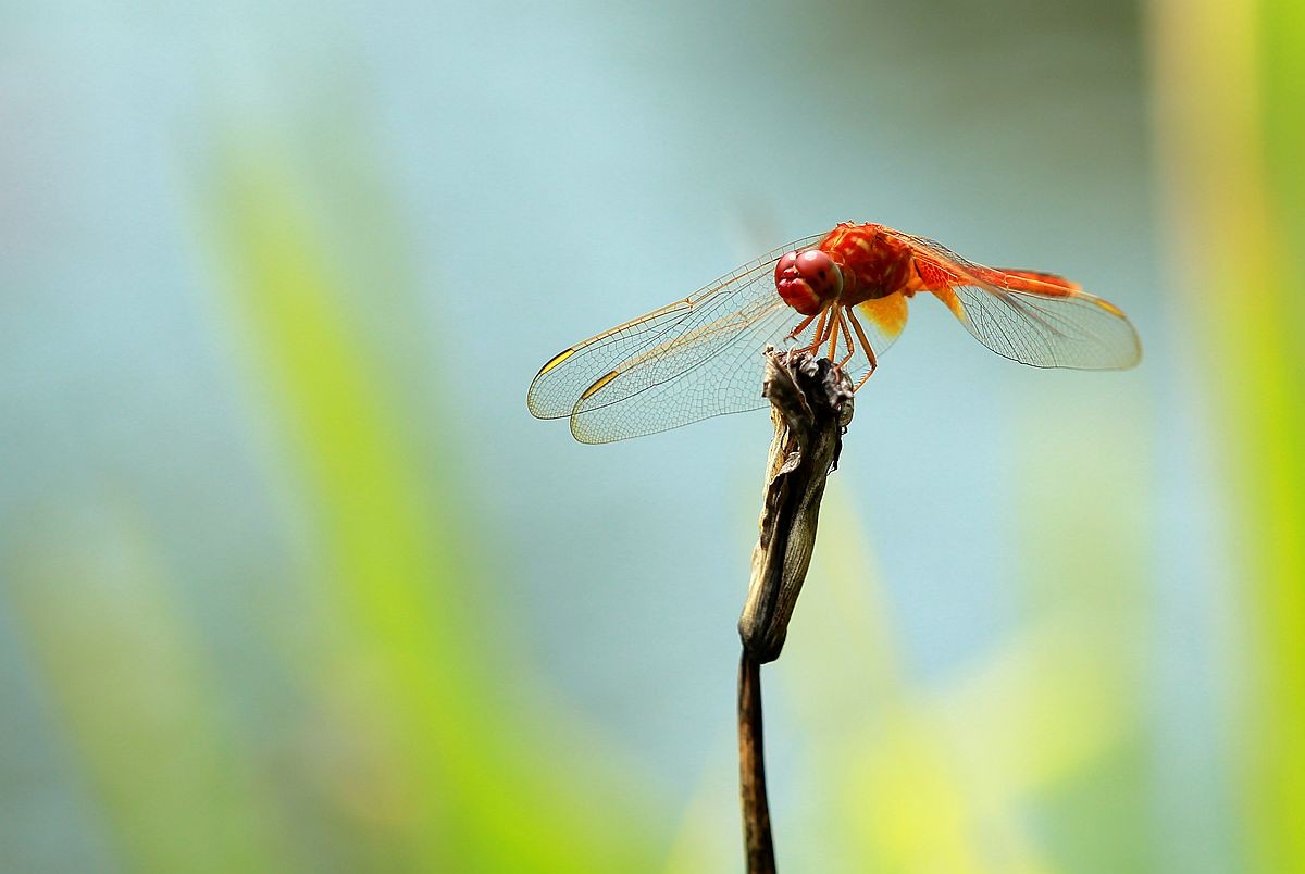 IMG_6437_副本.jpg
