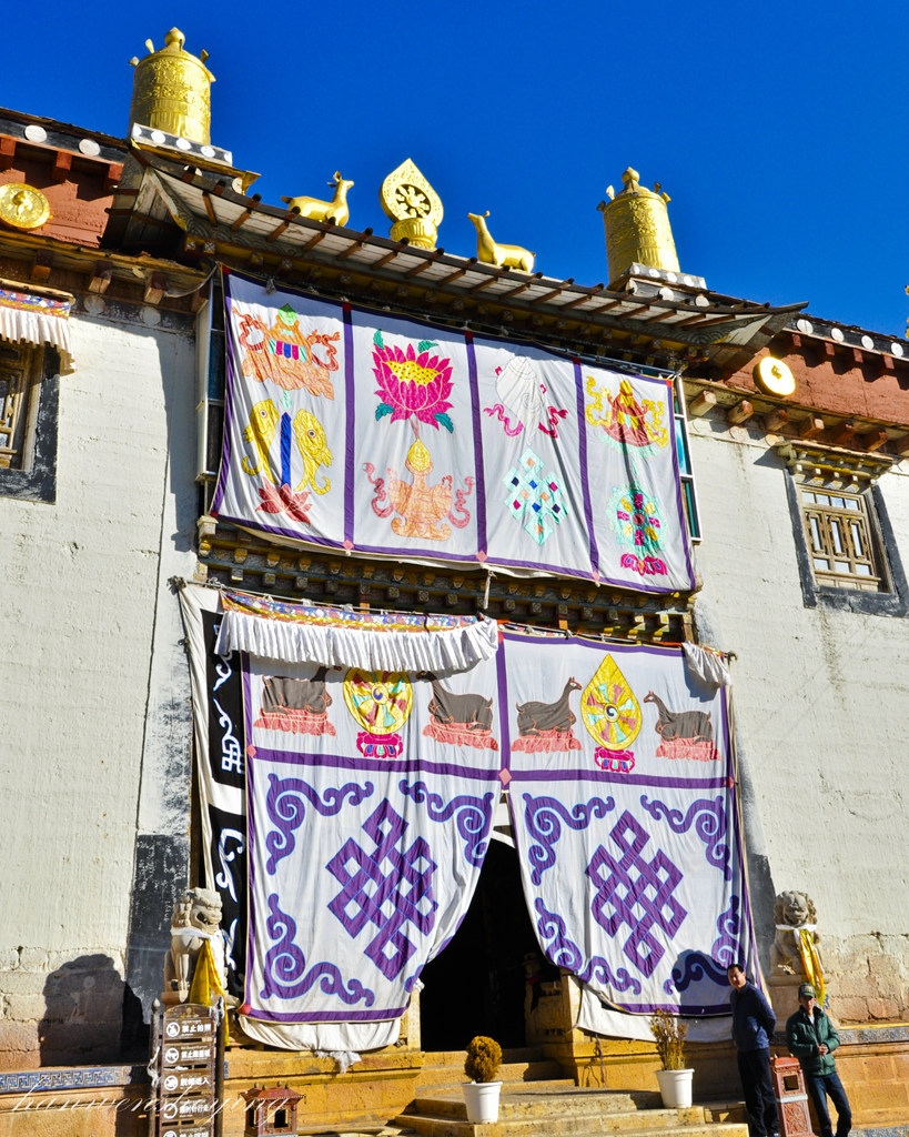 DSC_0338.JPG