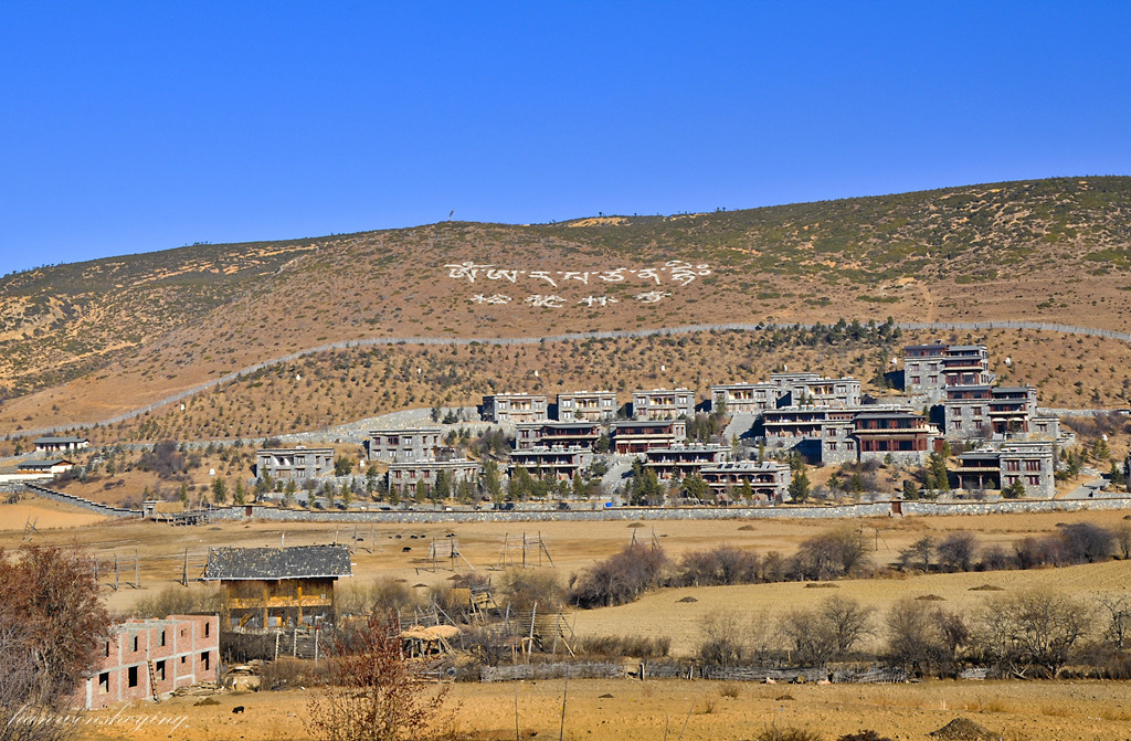 DSC_0341.JPG