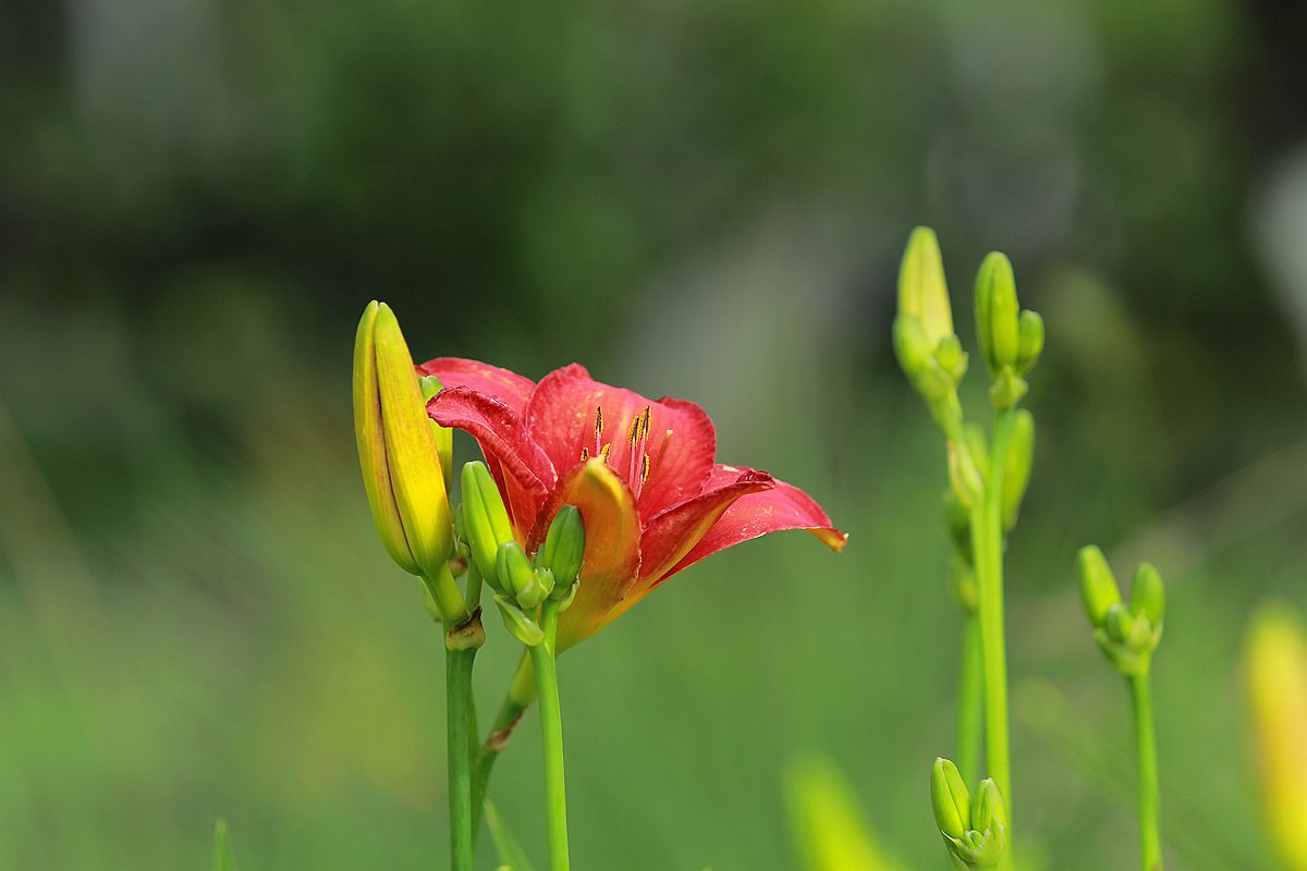 IMG_3565_副本.jpg