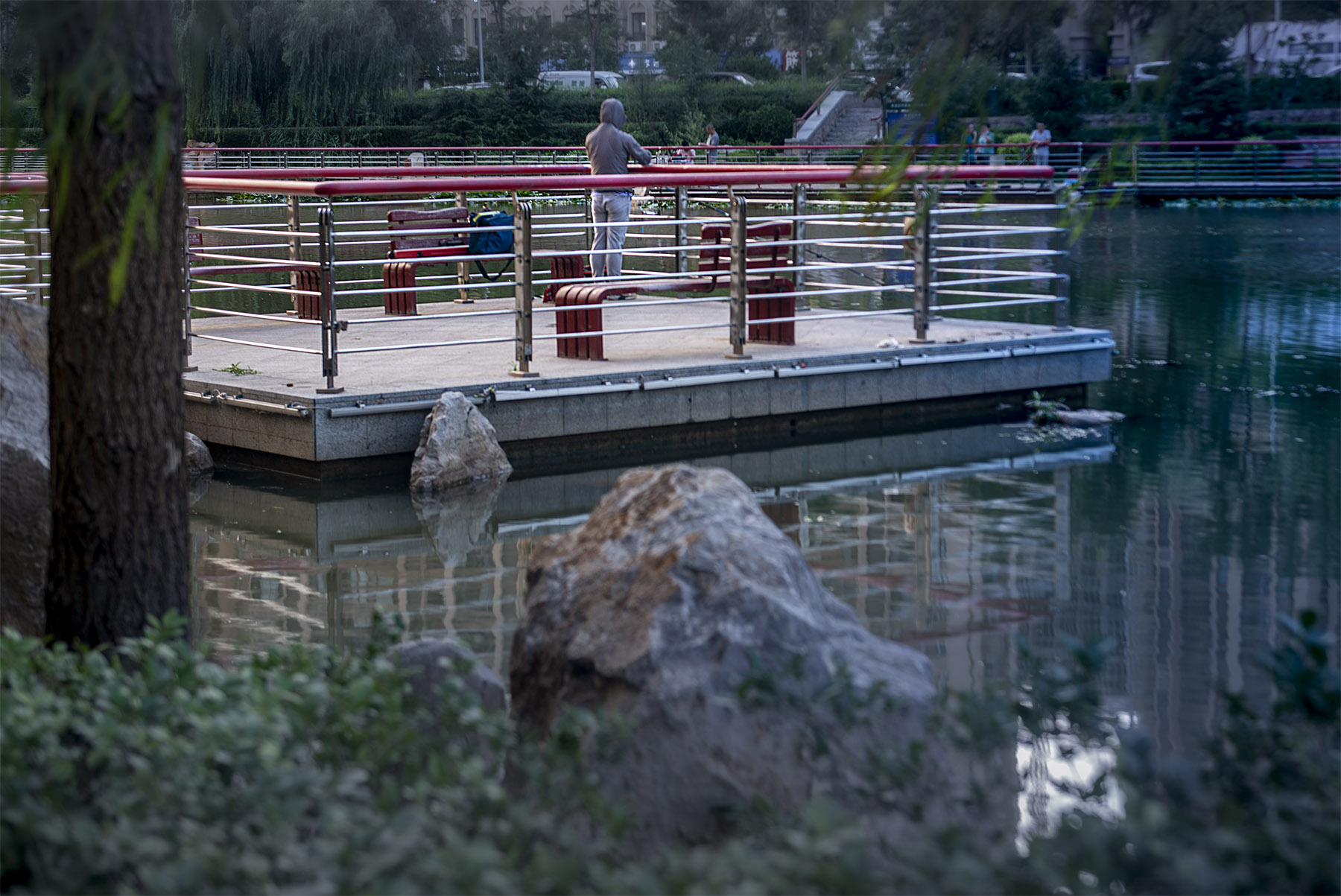 _DSC4850-1.jpg