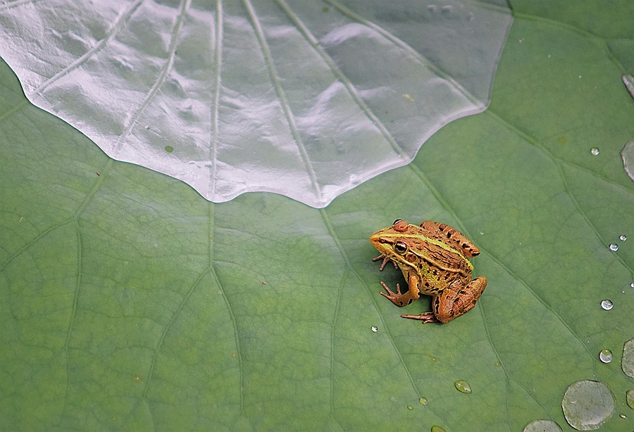 DSC08429_副本_副本.jpg