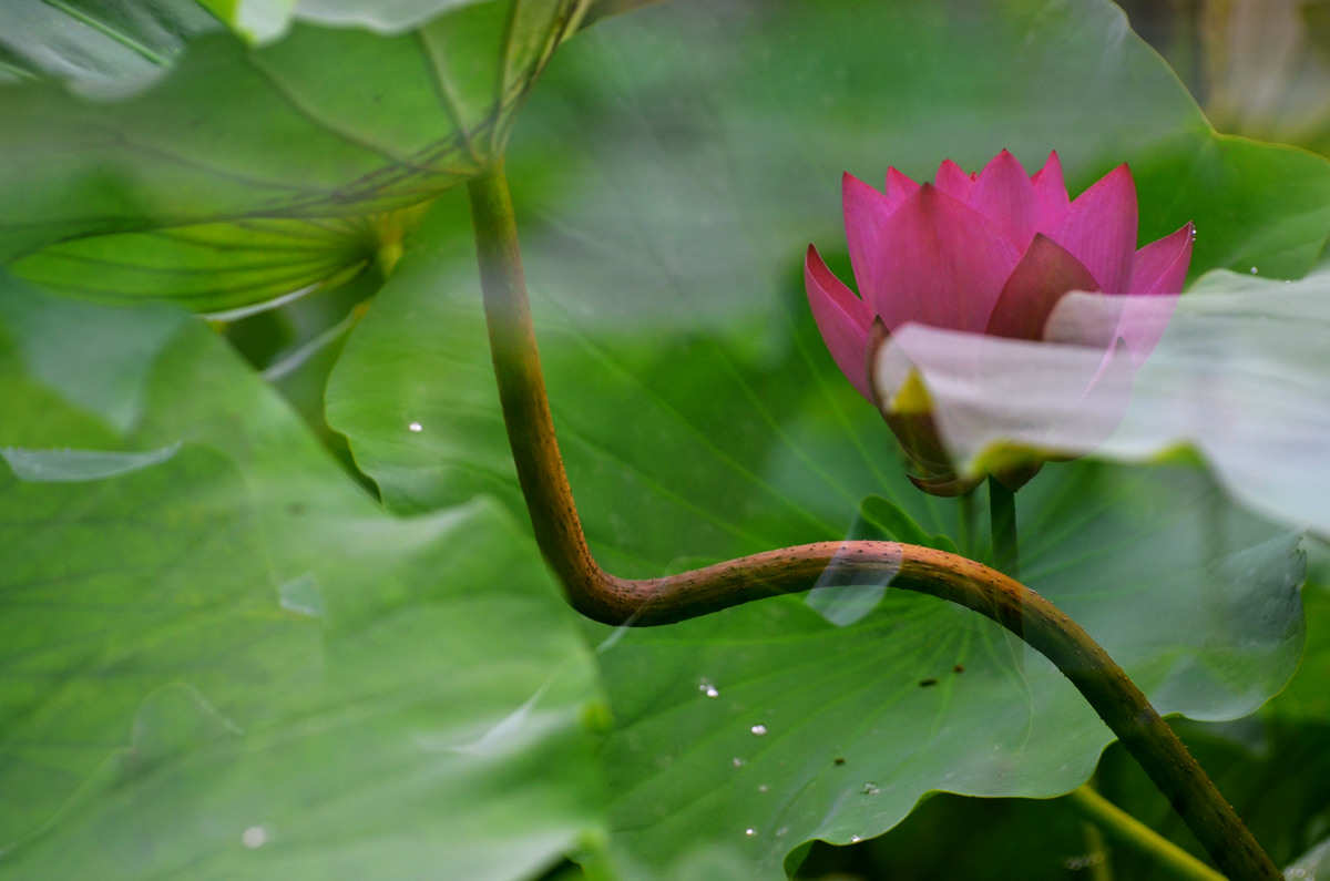 DSC_0160_副本.jpg