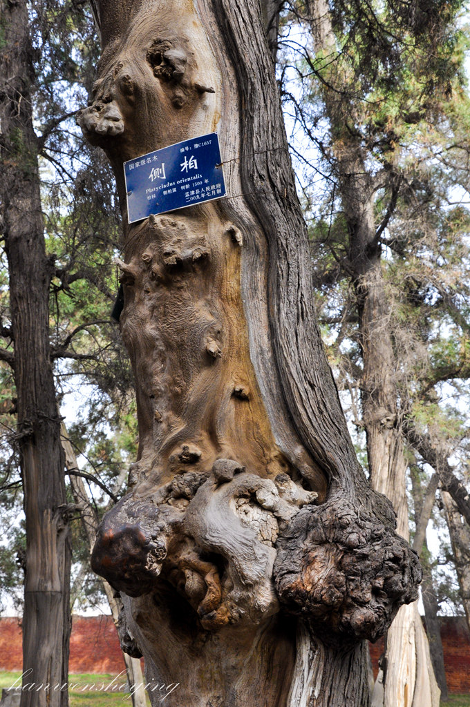 DSC_0814.JPG