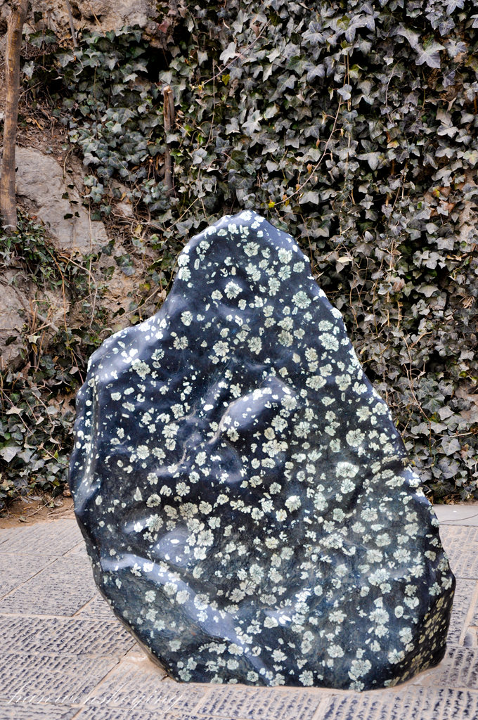 DSC_0852.JPG
