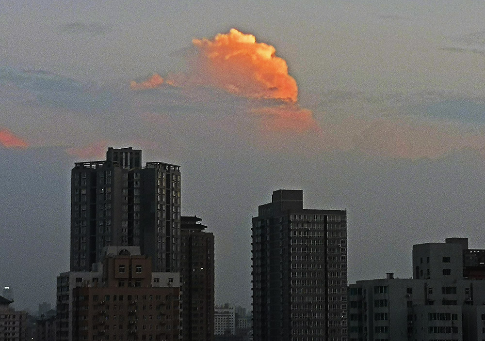 20200802_195038.jpg