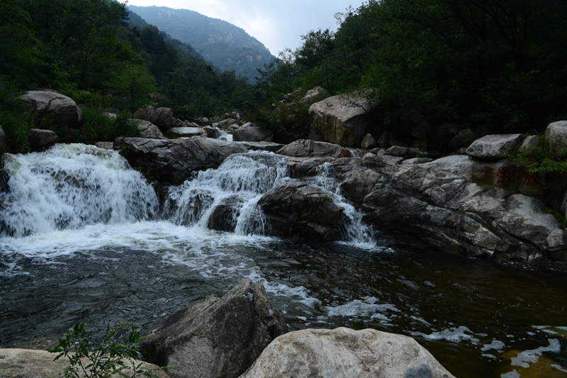DSC_3147_副本.jpg
