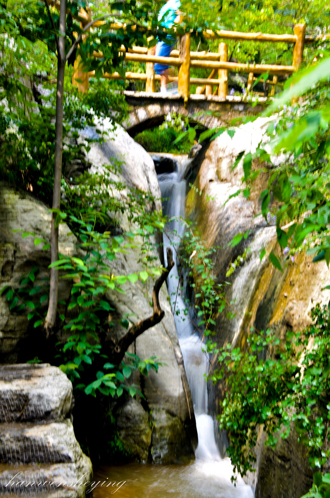 DSC_0450.JPG