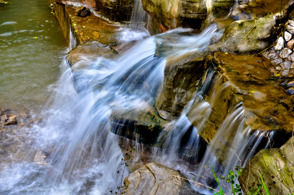 DSC_0460.JPG